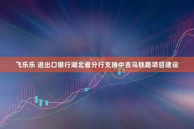 飞乐乐 进出口银行湖北省分行支持中吉乌铁路项目建设