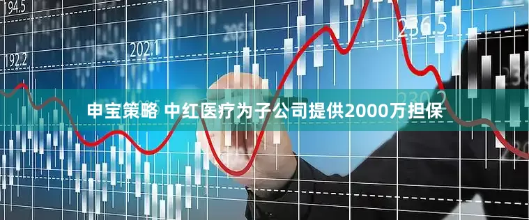 申宝策略 中红医疗为子公司提供2000万担保