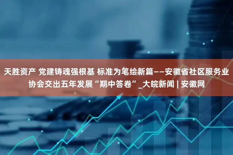 天胜资产 党建铸魂强根基 标准为笔绘新篇——安徽省社区服务业协会交出五年发展“期中答卷”_大皖新闻 | 安徽网