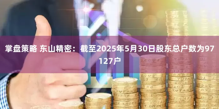 掌盘策略 东山精密：截至2025年5月30日股东总户数为97127户