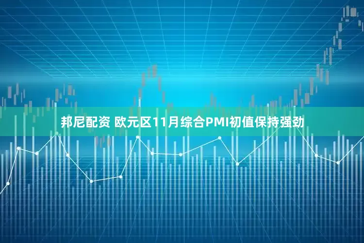 邦尼配资 欧元区11月综合PMI初值保持强劲